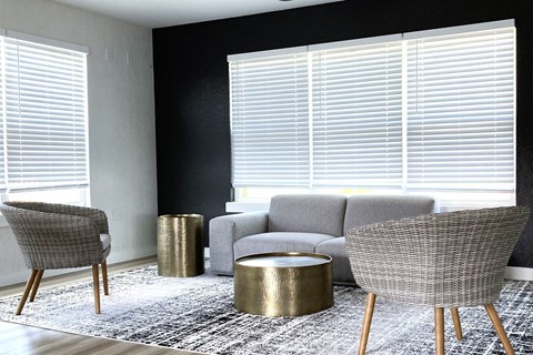 a living room with a gray couch and two chairs and a rug