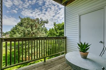 A balcony with a potted plant and a white door.