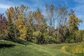 Lush Green Spaces at Vue 156 in Omaha, NE