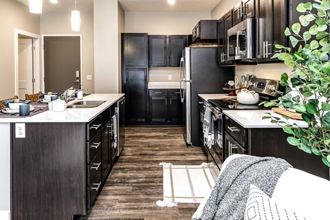 a kitchen with black cabinets and stainless steel appliances