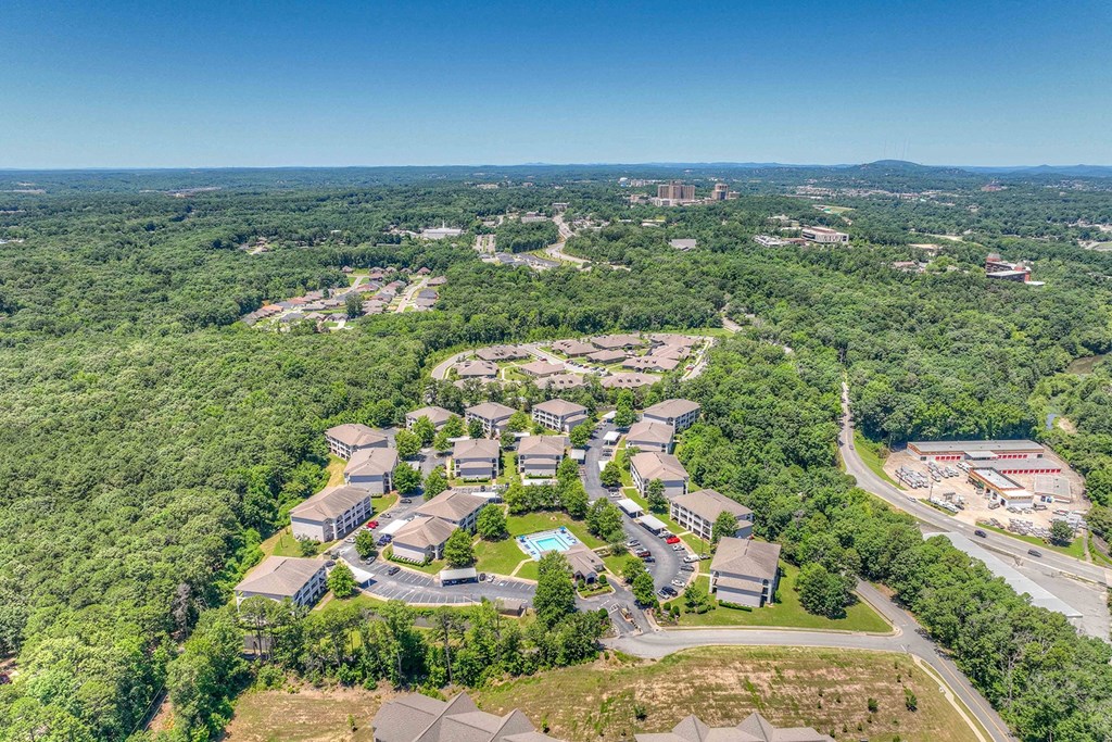 One and two bedroom apartment homes featuring efficient appliances, hardwood floors, walk-in closets, washer and dryer connections and much more at Parham Pointe Apartments in Little Rock, AR