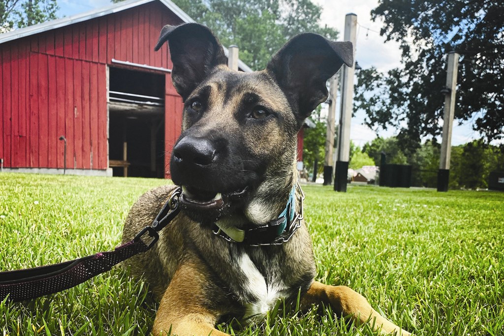 Experience urban agrihood living at our one, two or three bedroom apartments and townhomes featuring amazing apartment and community amenities at Red Barn in Bentonville, AR