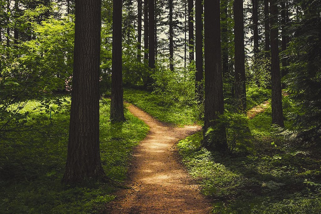 Experience urban agrihood living at our one, two or three bedroom apartments and townhomes featuring amazing apartment and community amenities at Red Barn in Bentonville, AR