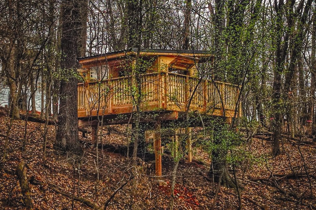 Experience urban agrihood living at our one, two or three bedroom apartments and townhomes featuring amazing apartment and community amenities at Red Barn in Bentonville, AR