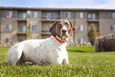 Property exterior at the pet-friendly Sterling at Grand Island apartments in Grand Island, NE