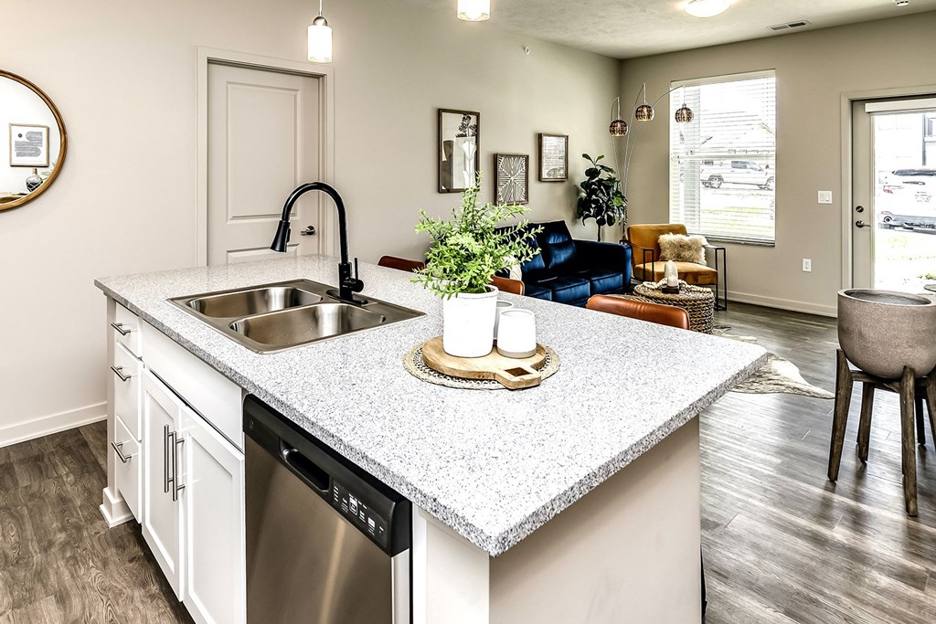 Stainless Steel Sink With Faucet at Tiburon Ridge, Nebraska