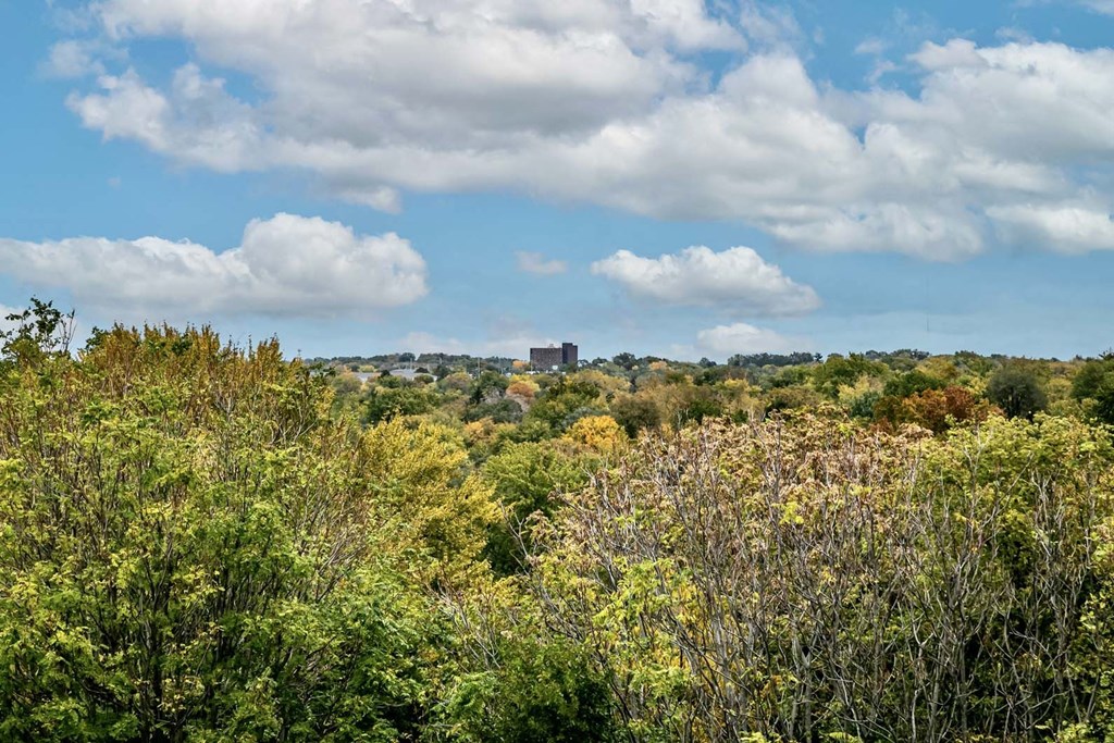 Amazing views of Benson at The Mill Apartments in Benson, NE