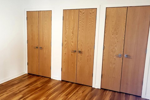 Three brown wooden doors in a row.