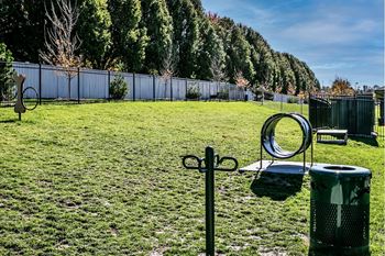 Dog Park at Vue 156 in Omaha, NE