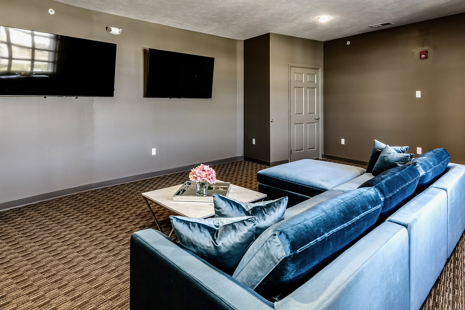 Viewing room at The Apartments at Lux 96 in Papillion, NE