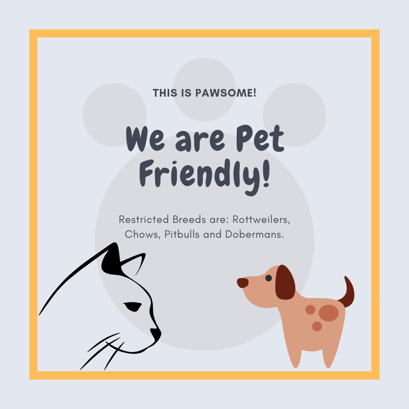 illustration of a dog and a cat with a quote we are pet friendly