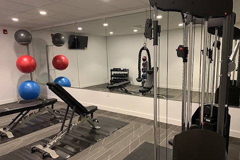 A gym with a bench, weights, and exercise balls.
