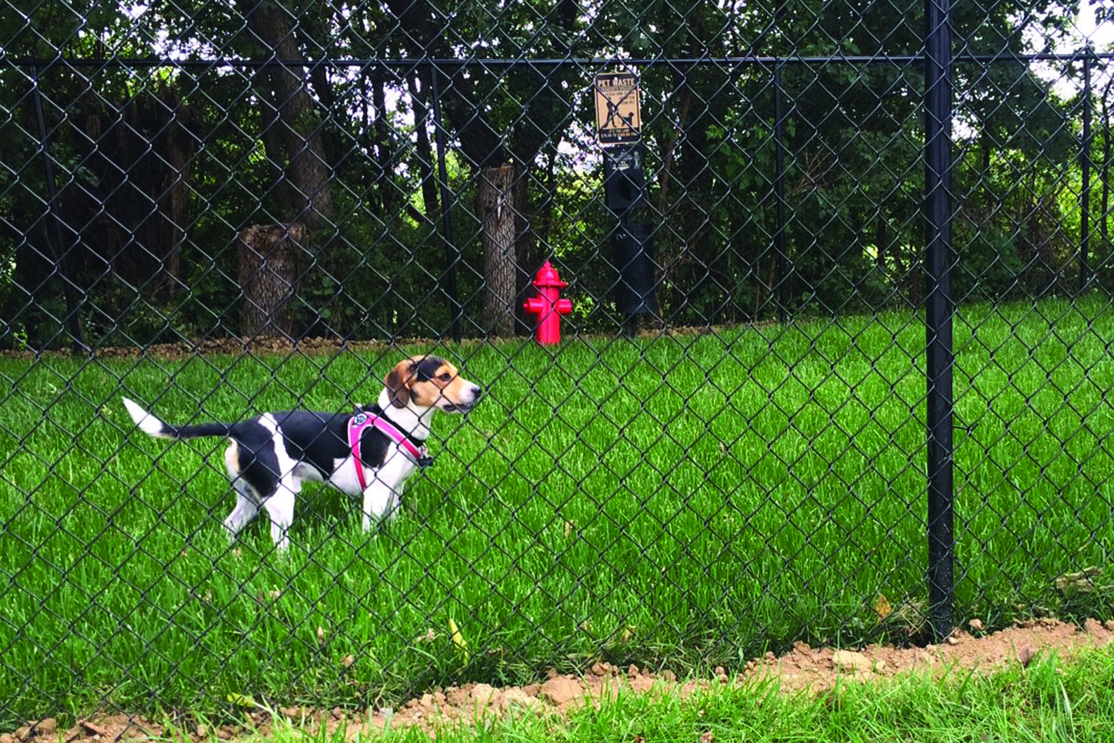 Dog Park at Briar Hills Apartments in Omaha, NE