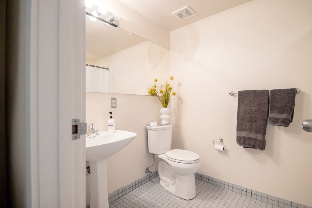 Large bathrooms at the Greenhouse Apartments in Omaha, NE