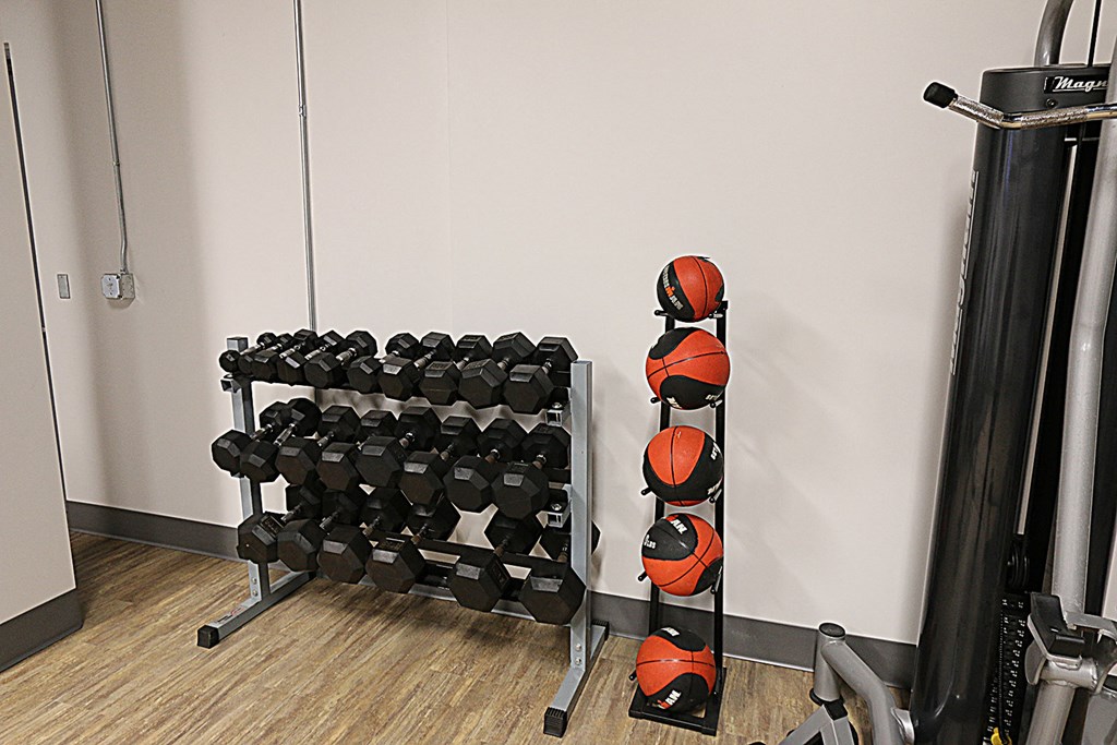 a rack of dumbbells and other weights in a gym