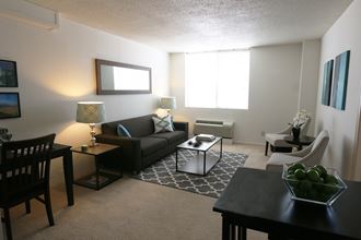 One bedroom Living Room (Model)