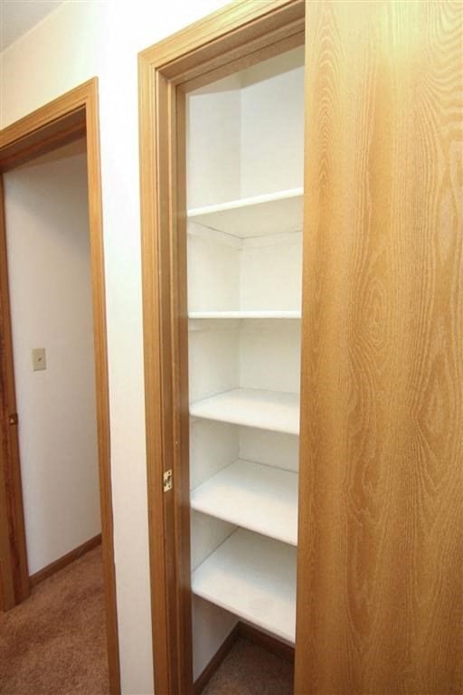 a closet with empty shelves and a door