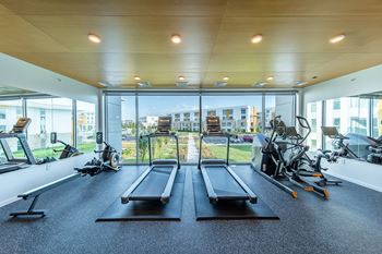 A gym with treadmills and exercise equipment.
