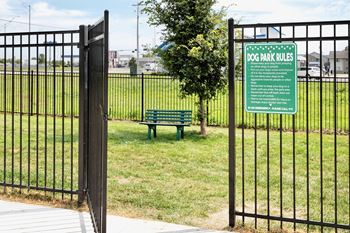A sign in a park that says Dog Park Rules.