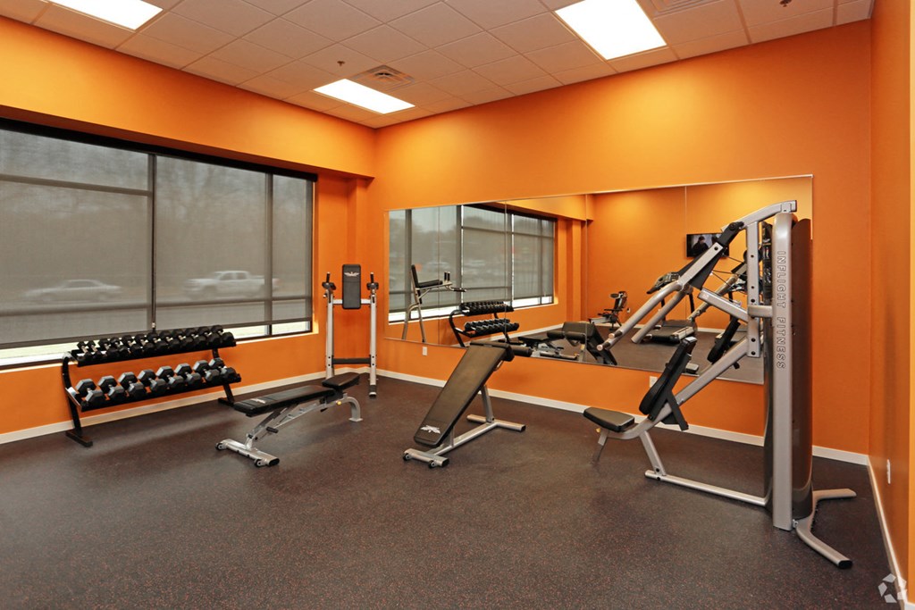 a gym with weights and mirrors in a room with windows