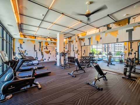 A gym with a variety of equipment including treadmills, stationary bikes, and weight machines.