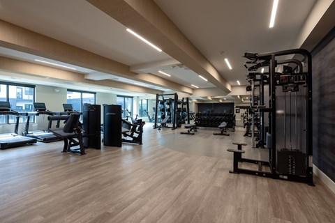 A gym with a variety of equipment including treadmills, weights, and exercise machines.