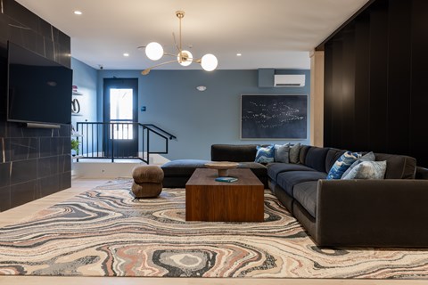 A modern living room with a grey couch, a wooden coffee table, and a patterned rug.