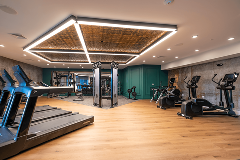 A gym with treadmills, weights, and exercise equipment.