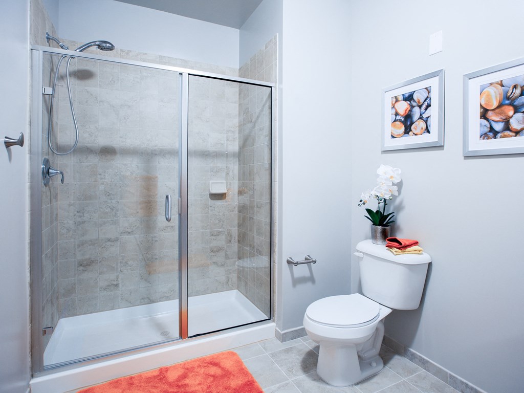 a bathroom with a shower and a toilet