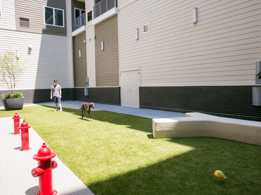 a man walking a dog on a lawn in front of a building