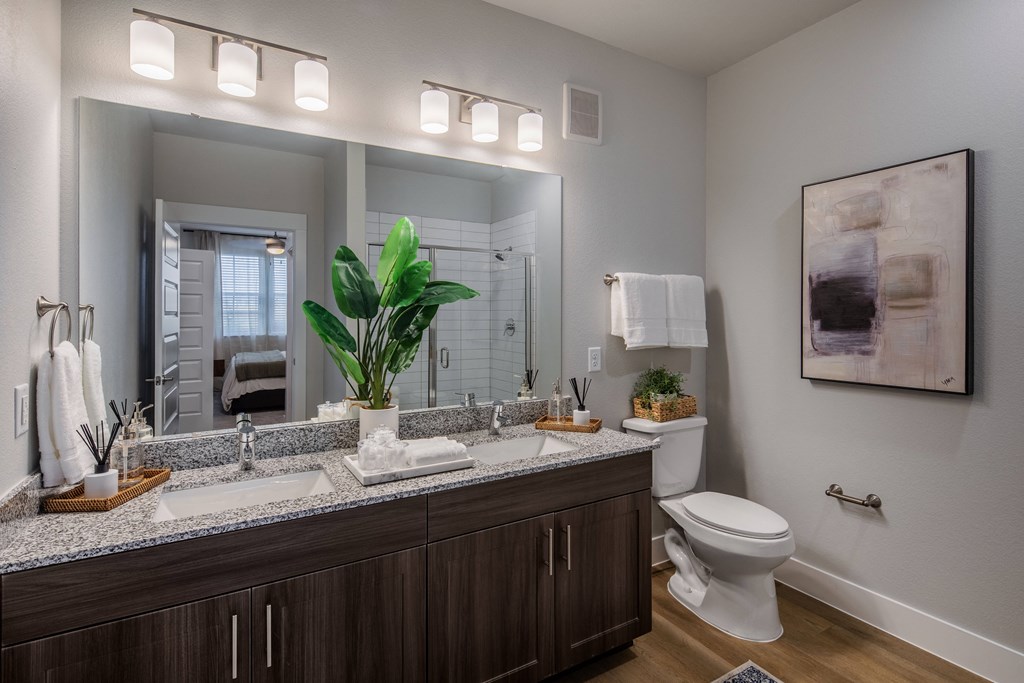 a bathroom with a sink and a toilet and a mirror