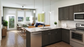 Unit kitchen - Photo Gallery 6