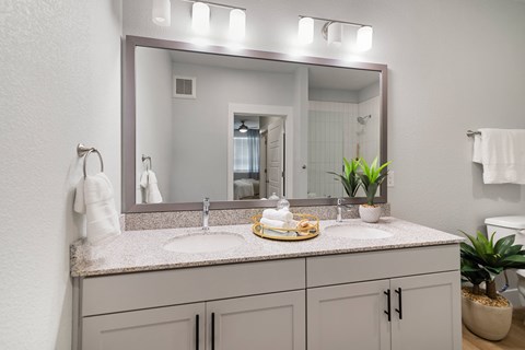 A bathroom with a sink, mirror, and a potted plant.