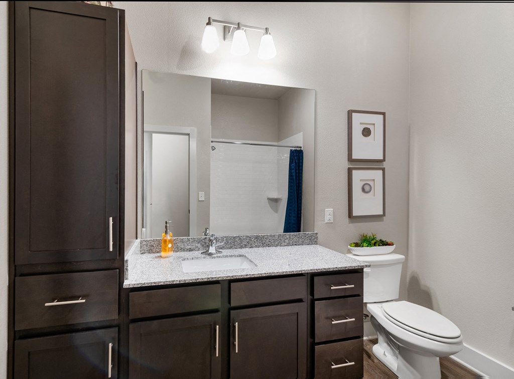 full bathroom with dark cabinets and granite counter top and white toilet and sink and mirror