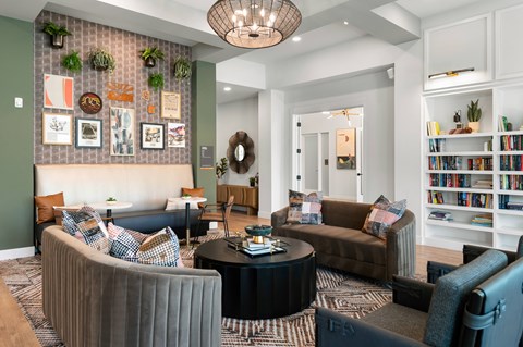 A living room with a grey couch, a black coffee table, and a green wall with plants.