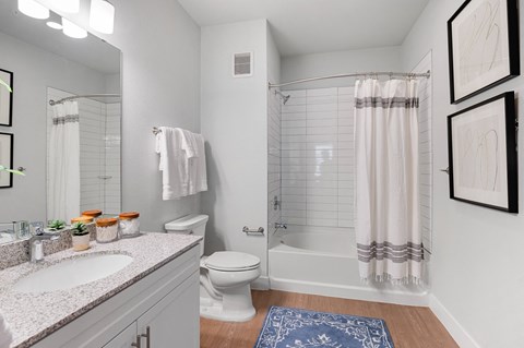 a bathroom with a shower and a sink and a toilet