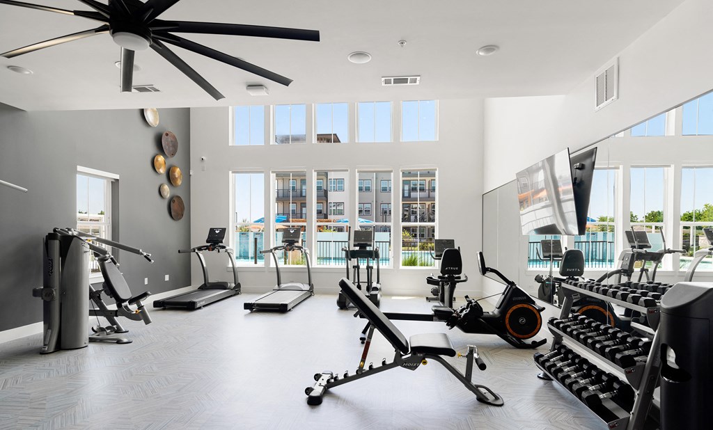 a gym with lots of weights and a large window