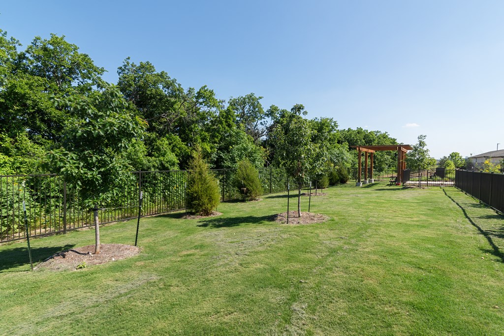 a park with trees and a fence