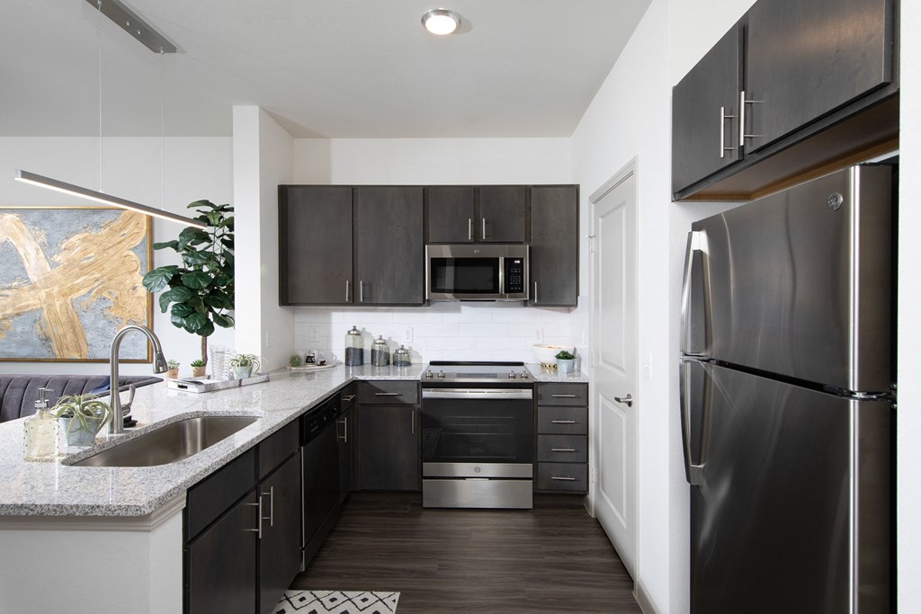 a kitchen with stainless steel appliances and black cabinets