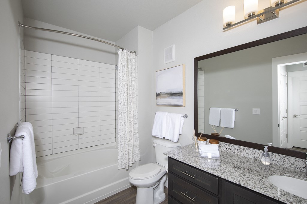 a bathroom with a shower toilet and sink and a mirror