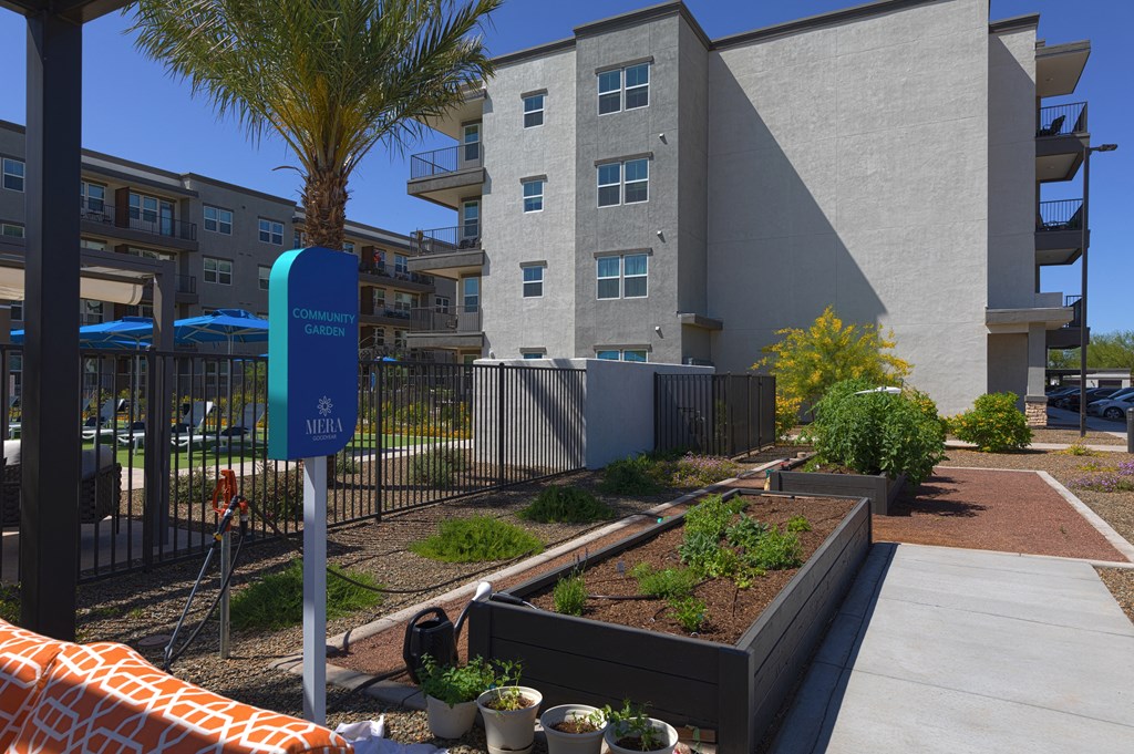 raised garden beds at a senior apartment community