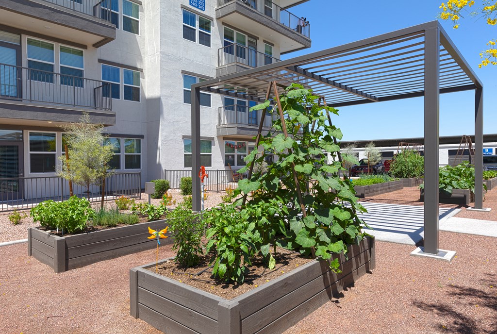 a community garden in front of an apartment building