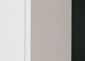A man and woman are standing in a kitchen with a white dog.