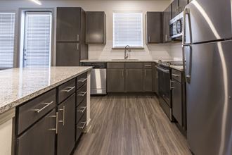 Stainless steel appliances at The Luxe at Cedar Hill in Cedar Hill Texas