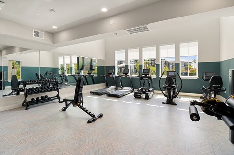 A gym with a variety of equipment including treadmills, stationary bikes, and weight machines.