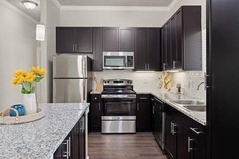 A modern kitchen with dark brown cabinets and stainless steel appliances.