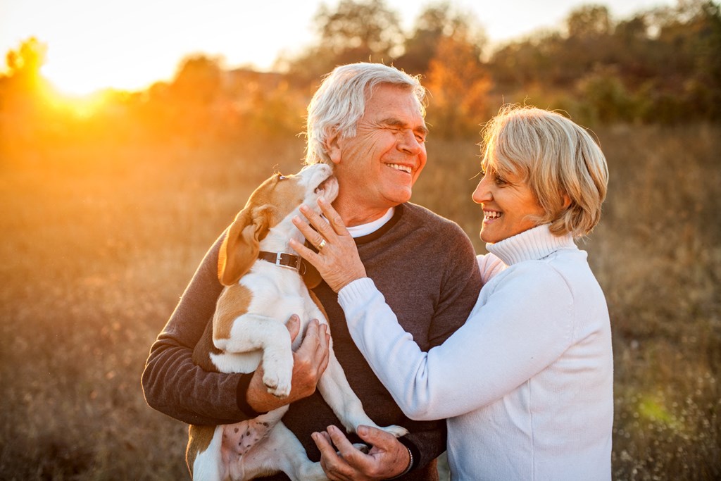 an older couple playing with their dog