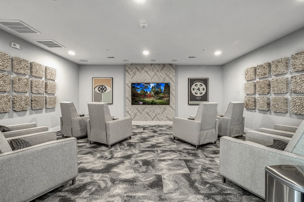 the screening room at the preserve at green valley falls in green valley va