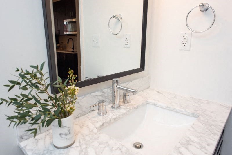 a bathroom sink with a mirror and a plant