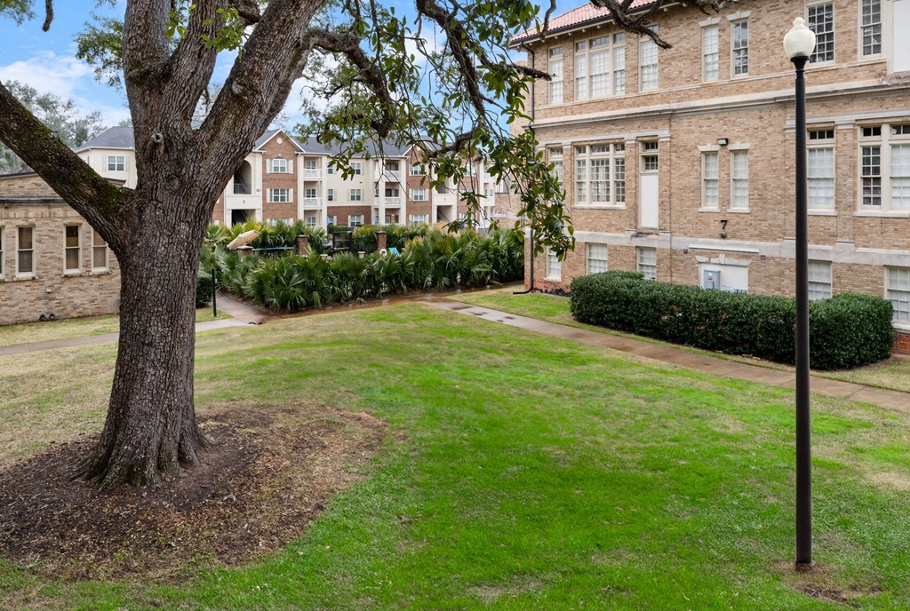 a tree in a yard in front of a building